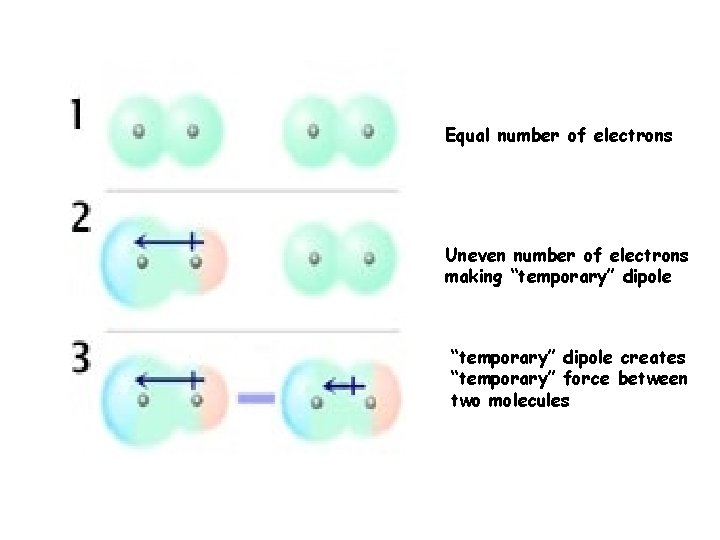Equal number of electrons Uneven number of electrons making “temporary” dipole creates “temporary” force
