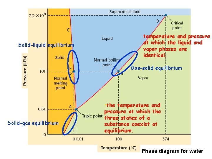 Solid-liquid equilibrium temperature and pressure at which the liquid and vapor phases are identical.