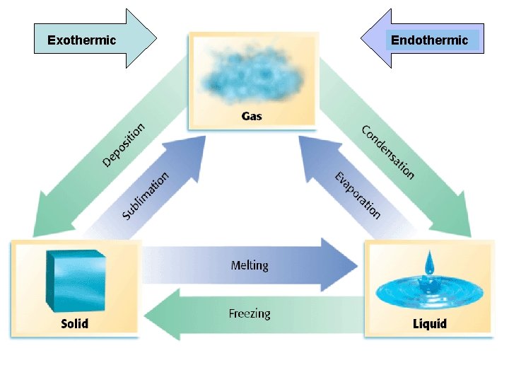 Exothermic Endothermic 