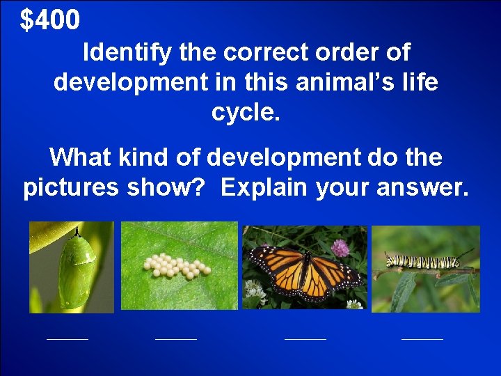 © Mark E. Damon - All Rights Reserved $400 Identify the correct order of