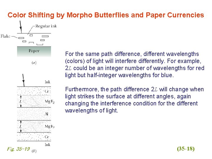 Color Shifting by Morpho Butterflies and Paper Currencies For the same path difference, different