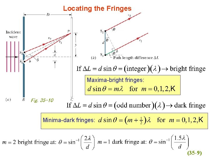 Locating the Fringes Maxima-bright fringes: Fig. 35 -10 Minima-dark fringes: (35 -9) 