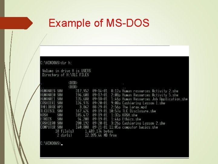 Example of MS-DOS 
