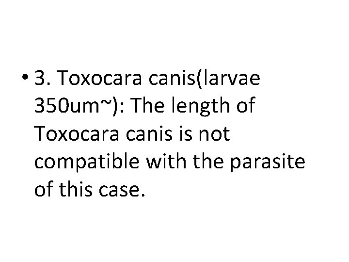  • 3. Toxocara canis(larvae 350 um~): The length of Toxocara canis is not