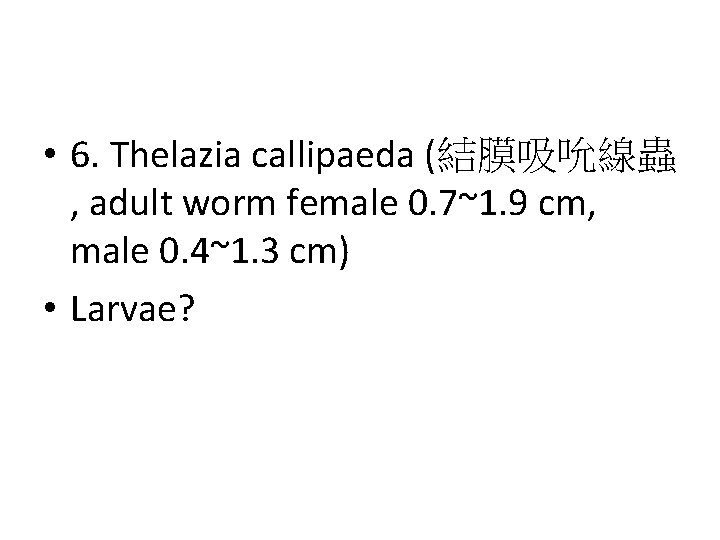  • 6. Thelazia callipaeda (結膜吸吮線蟲 , adult worm female 0. 7~1. 9 cm,