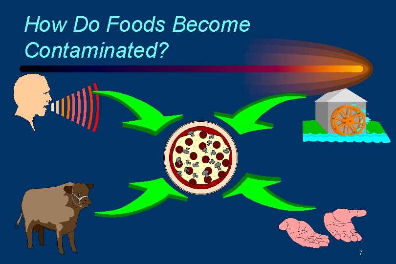 How Do Foods Become Contaminated? 7 