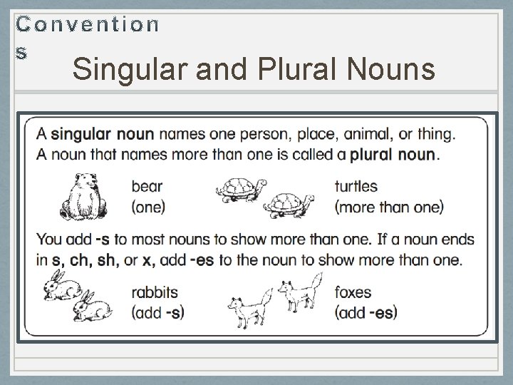 Singular and Plural Nouns 