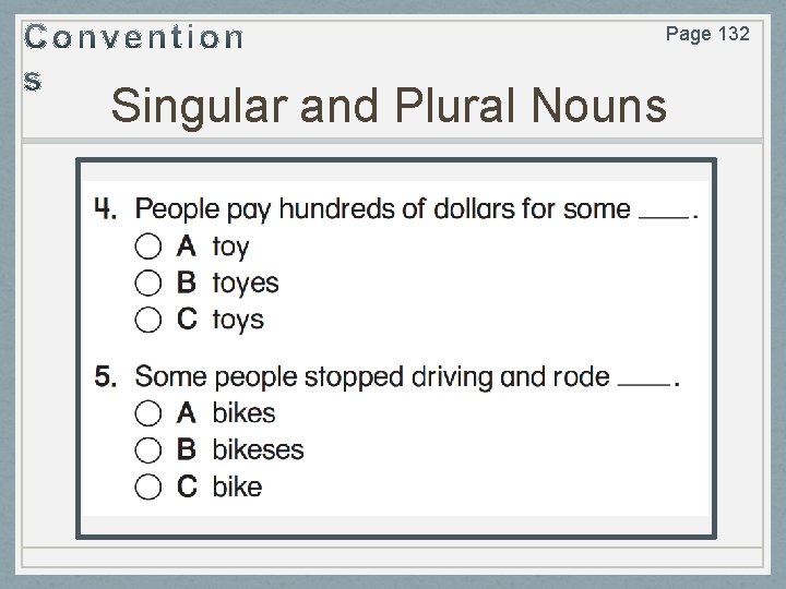 Page 132 Singular and Plural Nouns 
