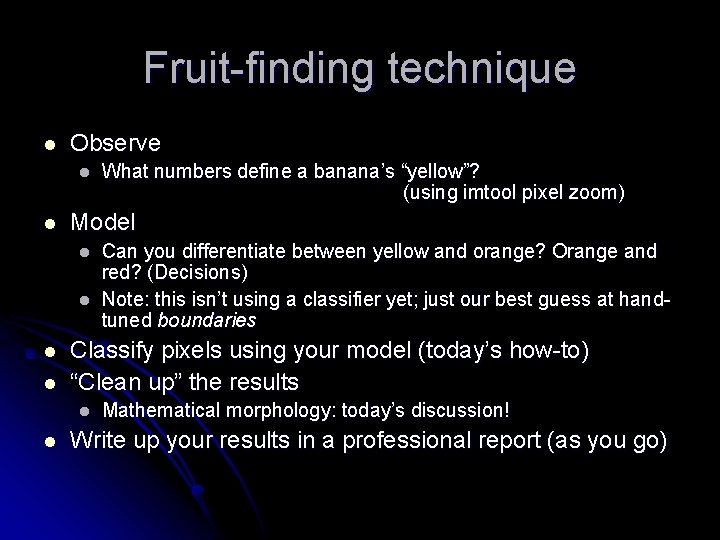 Fruit-finding technique l Observe l l Model l l Can you differentiate between yellow