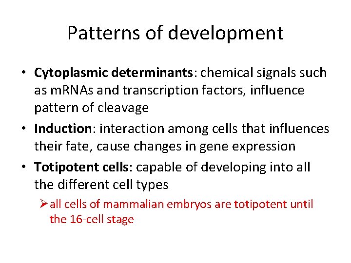 Patterns of development • Cytoplasmic determinants: chemical signals such as m. RNAs and transcription