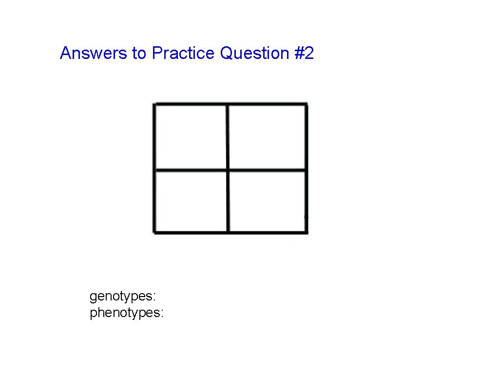 Answers to Practice Question #2 genotypes: phenotypes: 