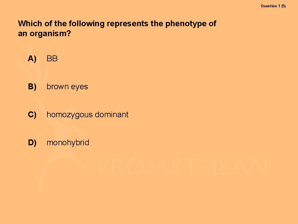 Question 1 (5) Which of the following represents the phenotype of an organism? A)
