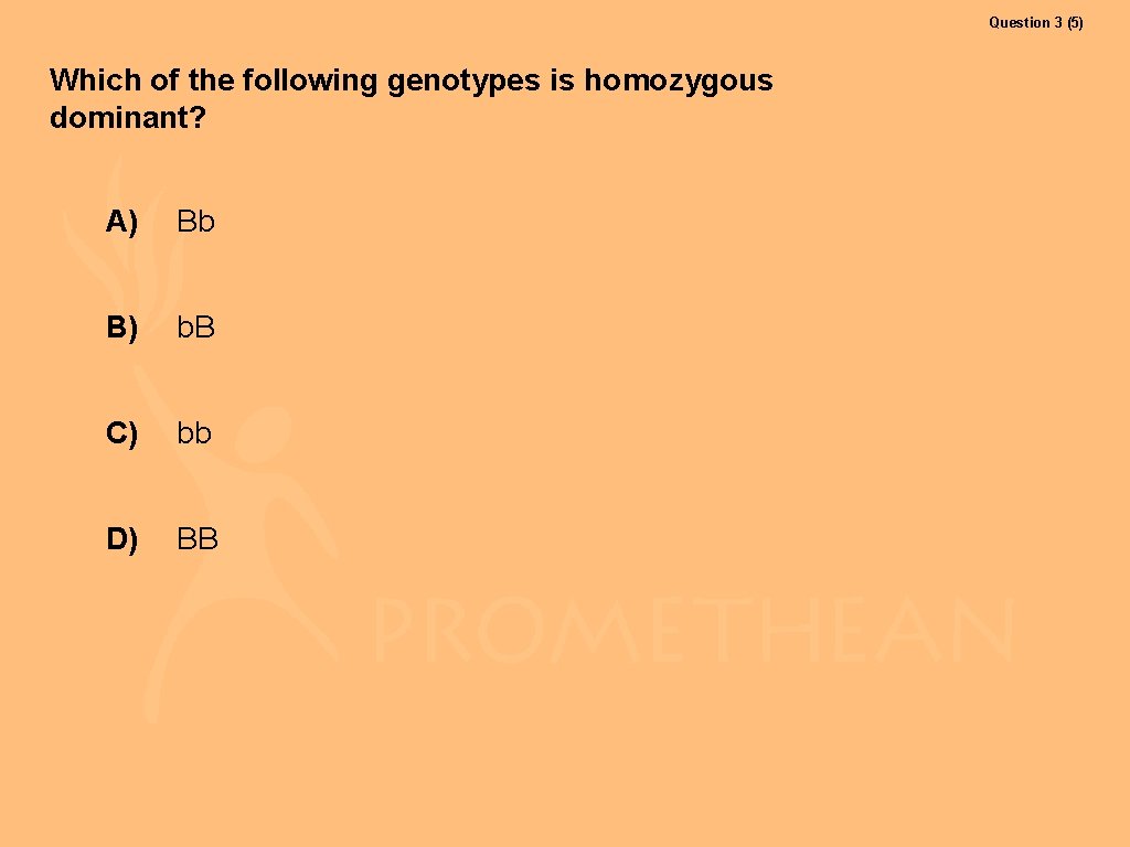 Question 3 (5) Which of the following genotypes is homozygous dominant? A) Bb B)