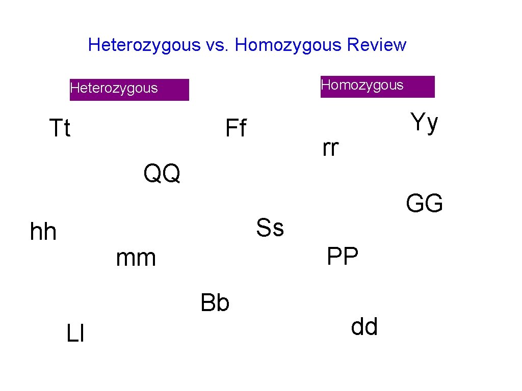 Heterozygous vs. Homozygous Review Homozygous Heterozygous Tt Ff Yy rr QQ GG Ss hh