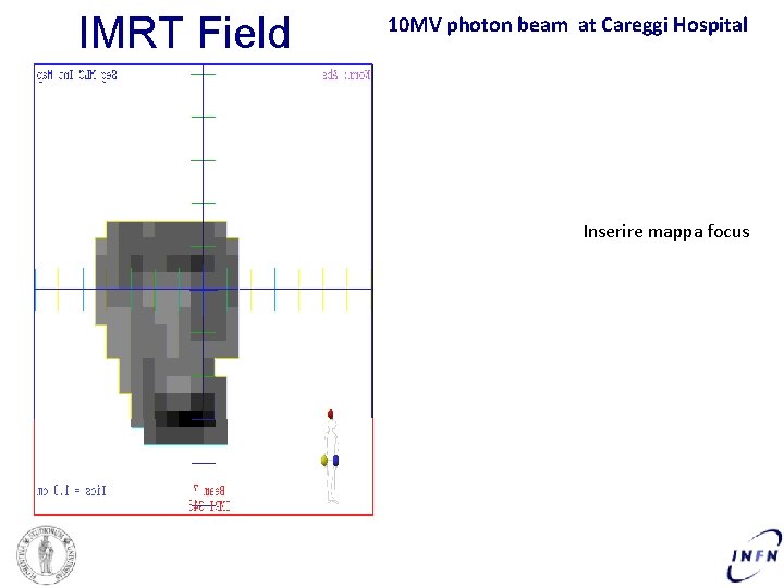 IMRT Field 10 MV photon beam at Careggi Hospital Inserire mappa focus 