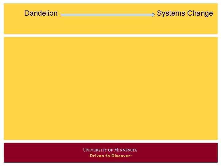 Dandelion Systems Change 