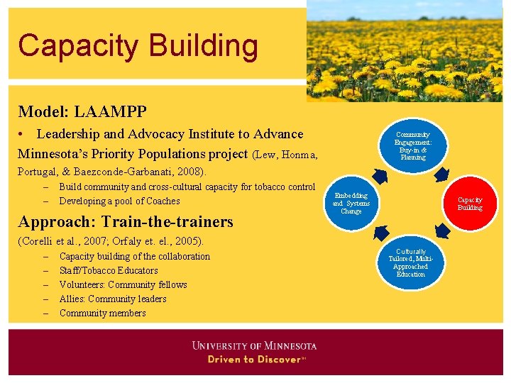 Capacity Building Model: LAAMPP • Leadership and Advocacy Institute to Advance Minnesota’s Priority Populations