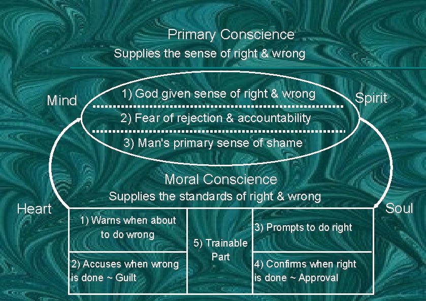 Primary Conscience Supplies the sense of right & wrong Mind 1) God given sense