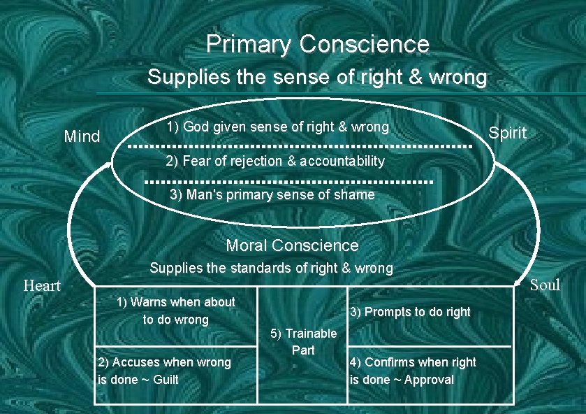 Primary Conscience Supplies the sense of right & wrong Mind 1) God given sense