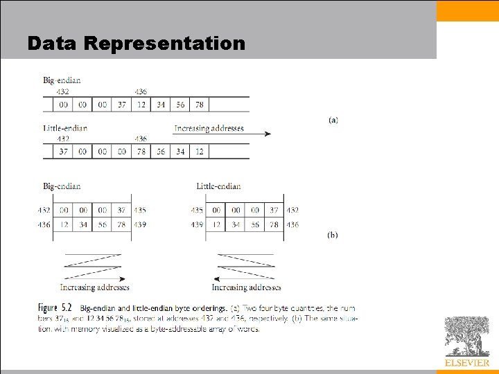 Data Representation 