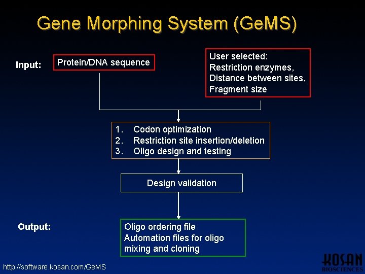 Gene Morphing System (Ge. MS) Input: Protein/DNA sequence 1. 2. 3. User selected: Restriction Gene Morphing System (Ge. MS) Input: Protein/DNA sequence 1. 2. 3. User selected: Restriction