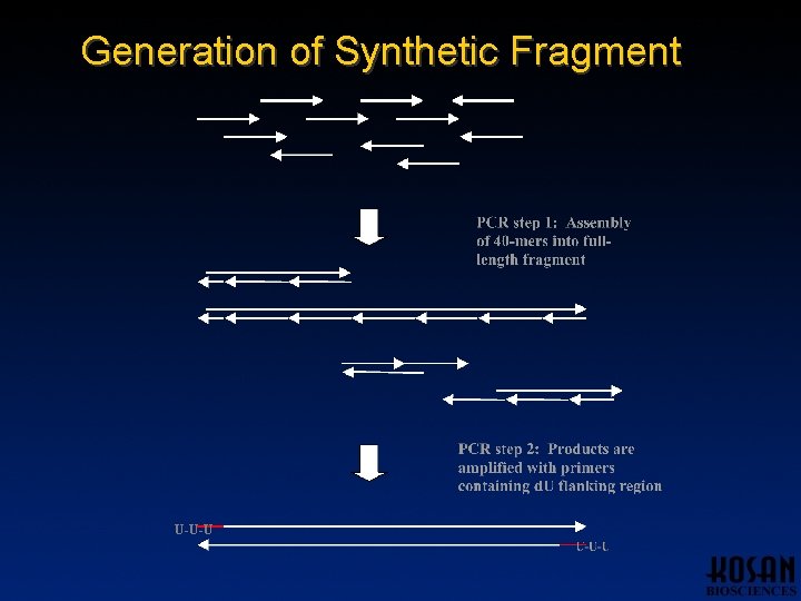 Generation of Synthetic Fragment U-U-U Generation of Synthetic Fragment U-U-U