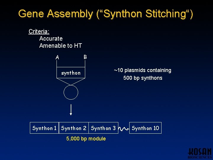 Gene Assembly (“Synthon Stitching“) Criteria: Accurate Amenable to HT B A synthon ~10 plasmids Gene Assembly (“Synthon Stitching“) Criteria: Accurate Amenable to HT B A synthon ~10 plasmids
