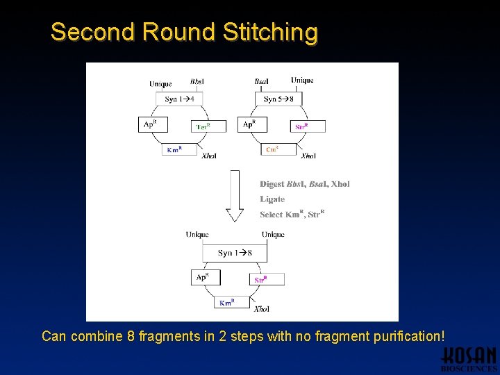 Second Round Stitching Can combine 8 fragments in 2 steps with no fragment purification! Second Round Stitching Can combine 8 fragments in 2 steps with no fragment purification!