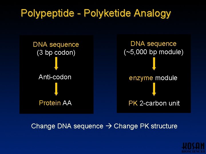 Polypeptide - Polyketide Analogy DNA sequence (3 bp codon) DNA sequence (~5, 000 bp Polypeptide - Polyketide Analogy DNA sequence (3 bp codon) DNA sequence (~5, 000 bp