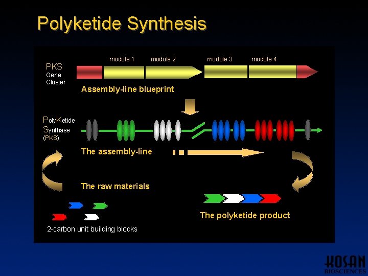 Polyketide Synthesis PKS Gene Cluster module 1 module 2 module 3 module 4 Assembly-line Polyketide Synthesis PKS Gene Cluster module 1 module 2 module 3 module 4 Assembly-line