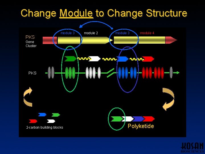 Change Module to Change Structure PKS module 1 module 3 module 2 module 3 Change Module to Change Structure PKS module 1 module 3 module 2 module 3