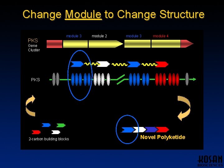 Change Module to Change Structure PKS module 1 module 3 module 2 module 3 Change Module to Change Structure PKS module 1 module 3 module 2 module 3