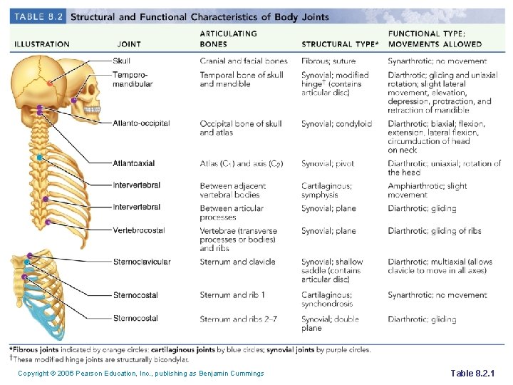 Copyright © 2006 Pearson Education, Inc. , publishing as Benjamin Cummings Table 8. 2.