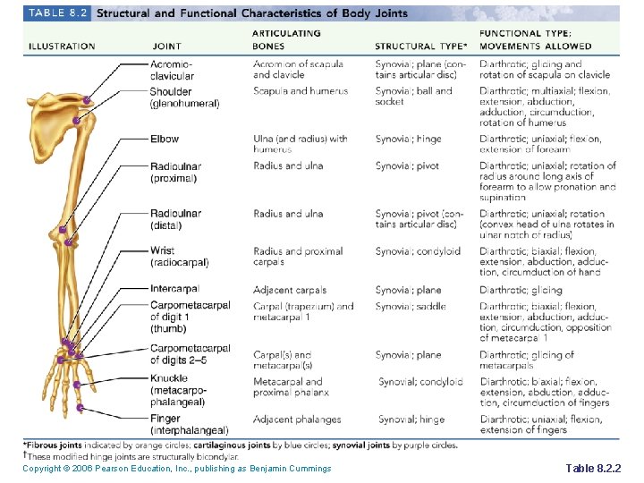 Copyright © 2006 Pearson Education, Inc. , publishing as Benjamin Cummings Table 8. 2.