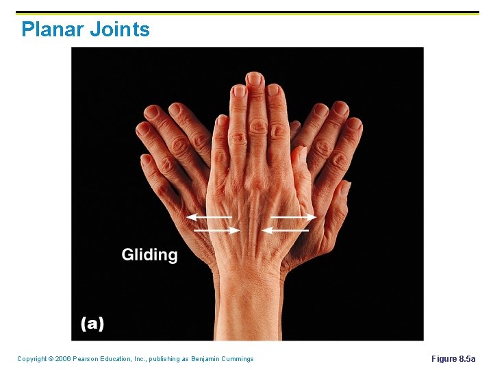 Planar Joints Copyright © 2006 Pearson Education, Inc. , publishing as Benjamin Cummings Figure