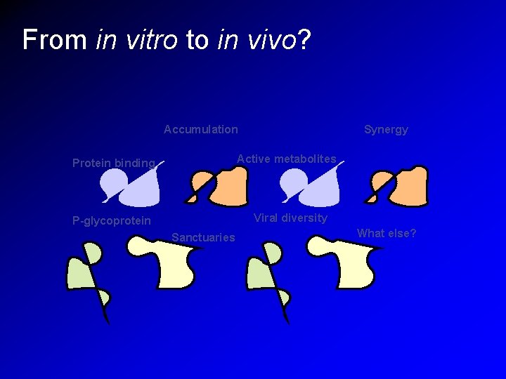 From in vitro to in vivo? Accumulation Synergy Active metabolites Protein binding Viral diversity From in vitro to in vivo? Accumulation Synergy Active metabolites Protein binding Viral diversity