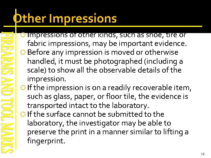 Other Impressions of other kinds, such as shoe, tire or fabric impressions, may be