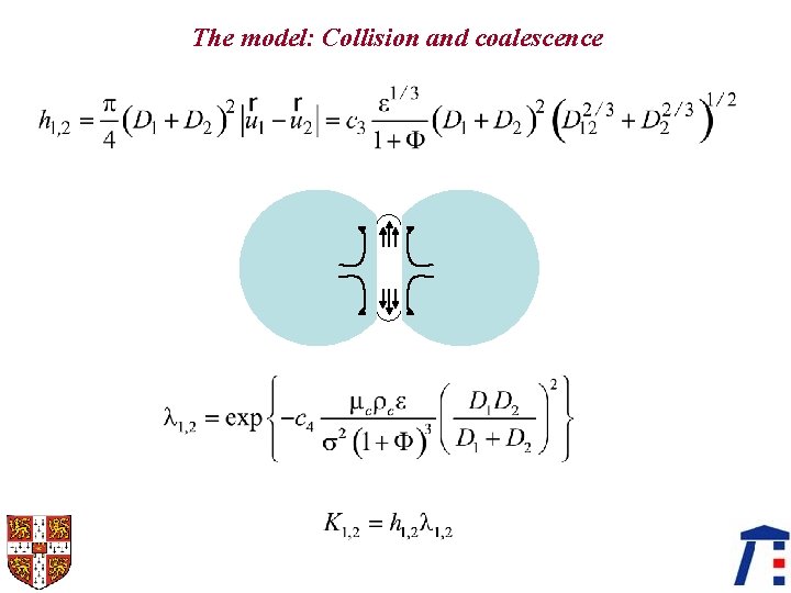 The model: Collision and coalescence 
