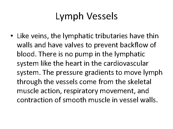 Lymph Vessels • Like veins, the lymphatic tributaries have thin walls and have valves