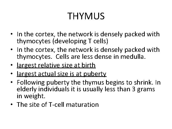 THYMUS • In the cortex, the network is densely packed with thymocytes (developing T