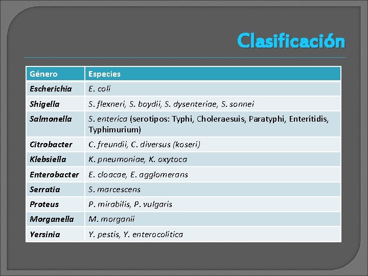 Clasificación Género Especies Escherichia E. coli Shigella S. flexneri, S. boydii, S. dysenteriae, S.