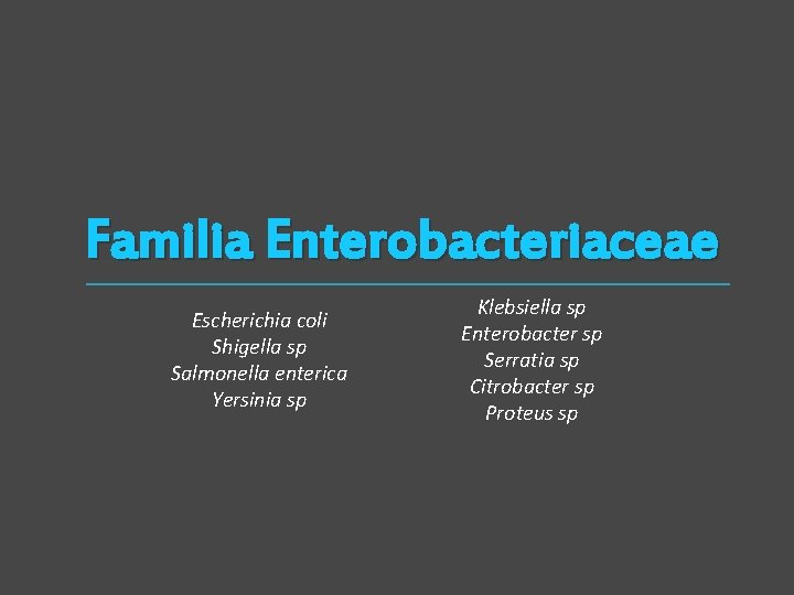 Familia Enterobacteriaceae Escherichia coli Shigella sp Salmonella enterica Yersinia sp Klebsiella sp Enterobacter sp