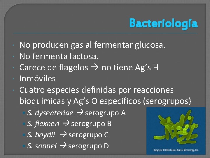 Bacteriología No producen gas al fermentar glucosa. No fermenta lactosa. Carece de flagelos no