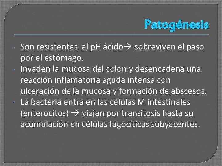Patogénesis Son resistentes al p. H ácido sobreviven el paso por el estómago. Invaden
