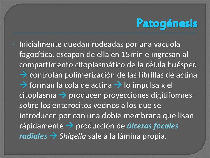 Patogénesis Inicialmente quedan rodeadas por una vacuola fagocítica, escapan de ella en 15 min