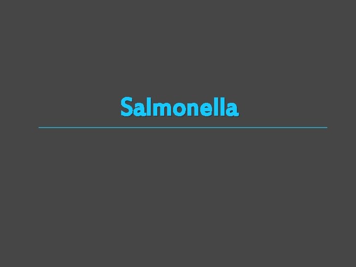 Salmonella 