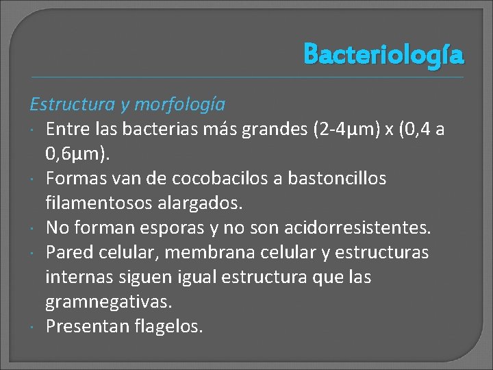 Bacteriología Estructura y morfología Entre las bacterias más grandes (2 -4μm) x (0, 4