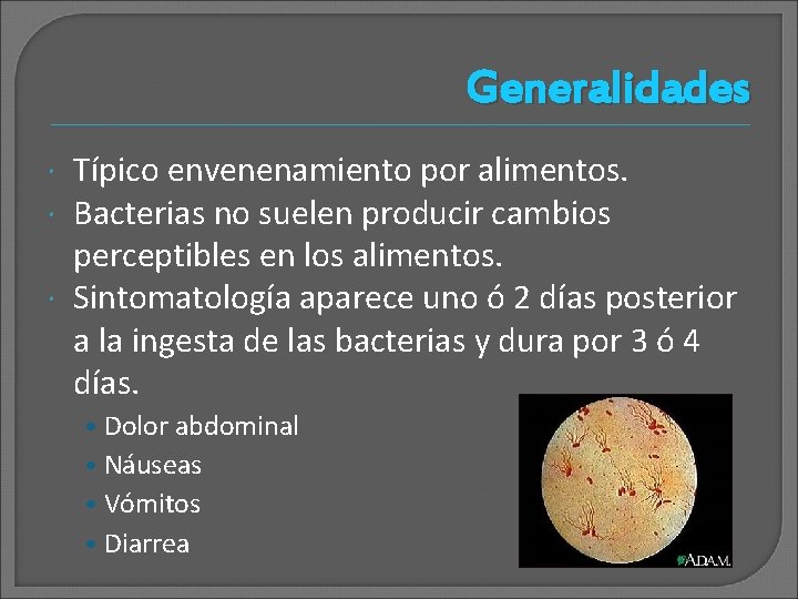 Generalidades Típico envenenamiento por alimentos. Bacterias no suelen producir cambios perceptibles en los alimentos.