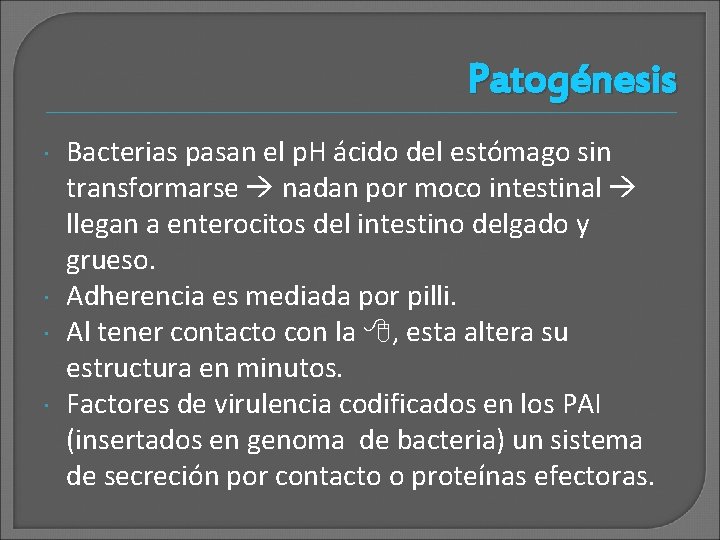 Patogénesis Bacterias pasan el p. H ácido del estómago sin transformarse nadan por moco