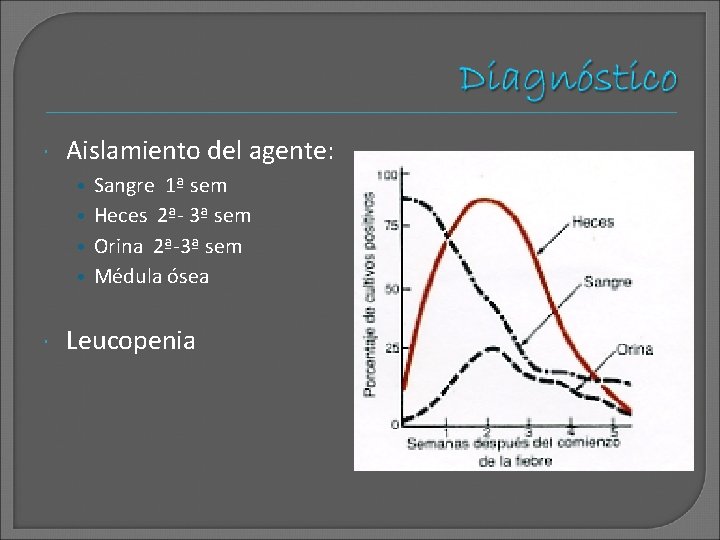  Aislamiento del agente: • Sangre 1ª sem • Heces 2ª- 3ª sem •